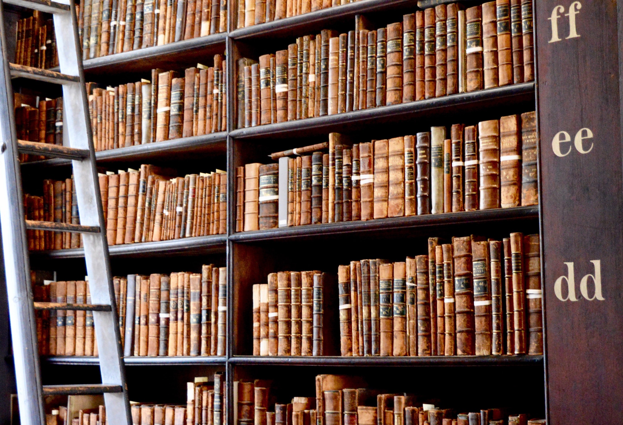 library-.jpg library-.jpg